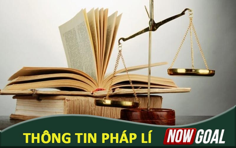 Thông tin pháp lí Nowgoal cung cấp và khai báo